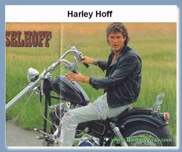 Hoff - David hasslehoff