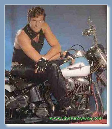 Hoff - David hasslehoff