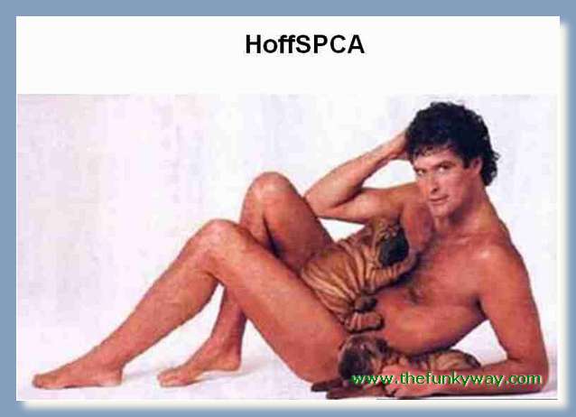 Hoff - David hasslehoff