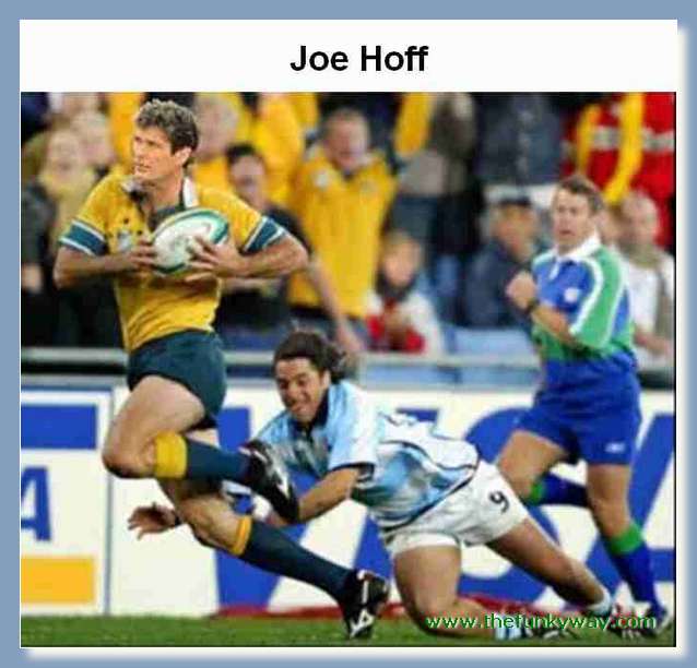 Hoff - David hasslehoff