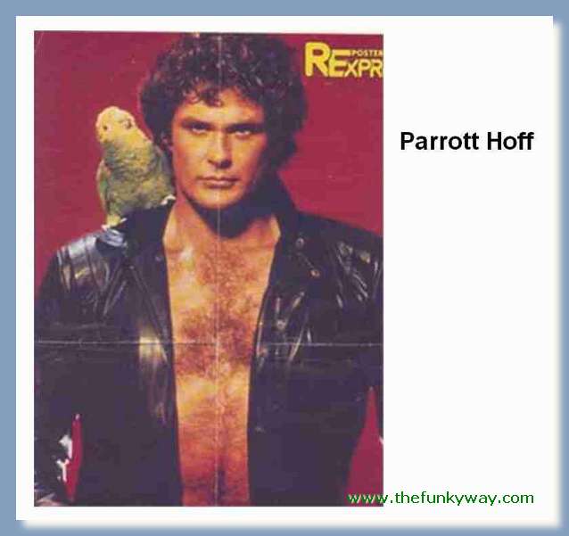 Hoff - David hasslehoff