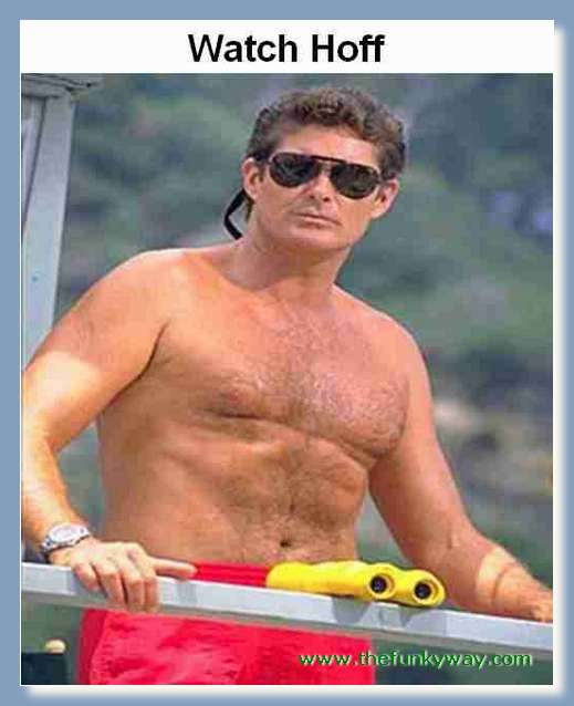 Hoff - David hasslehoff