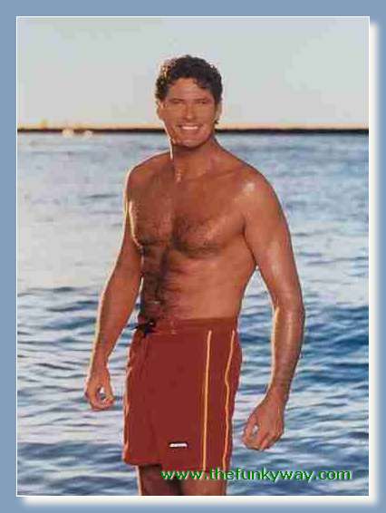Hoff - David hasslehoff