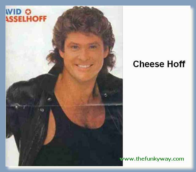 Hoff - David hasslehoff
