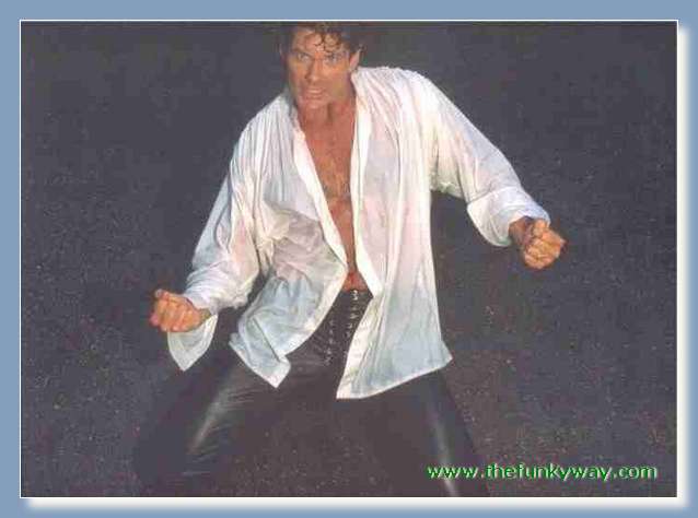 Hoff - David hasslehoff