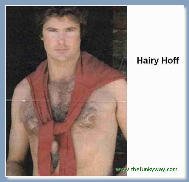 Hoff - David hasslehoff