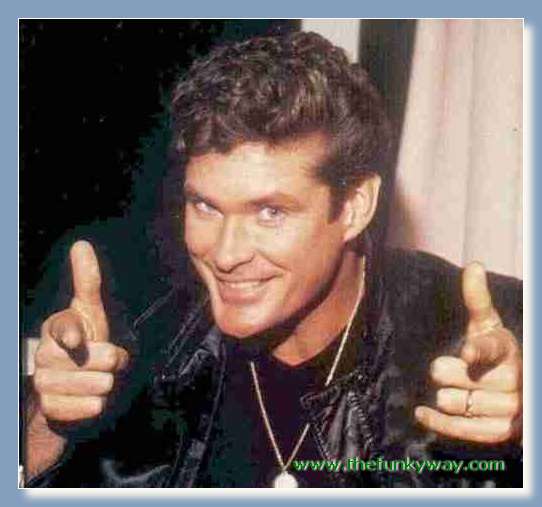 Hoff - David hasslehoff