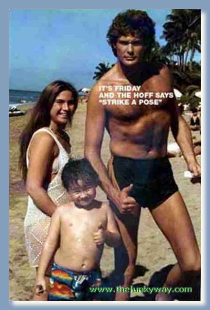 Hoff - David hasslehoff