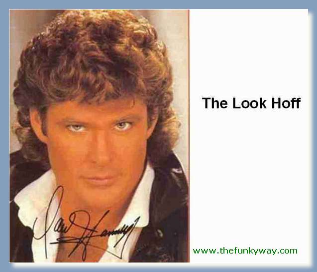 Hoff - David hasslehoff
