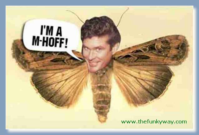 Hoff - David hasslehoff