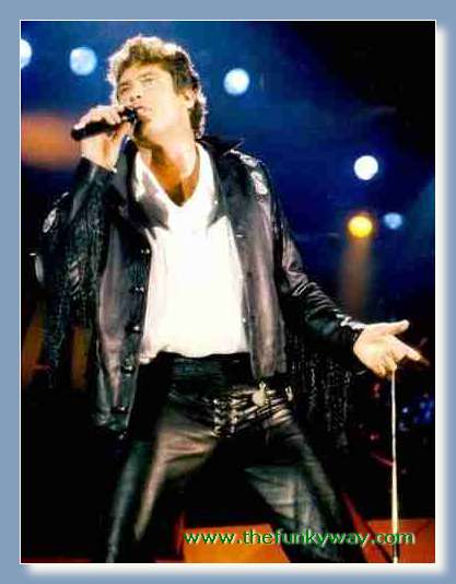 Hoff - David hasslehoff