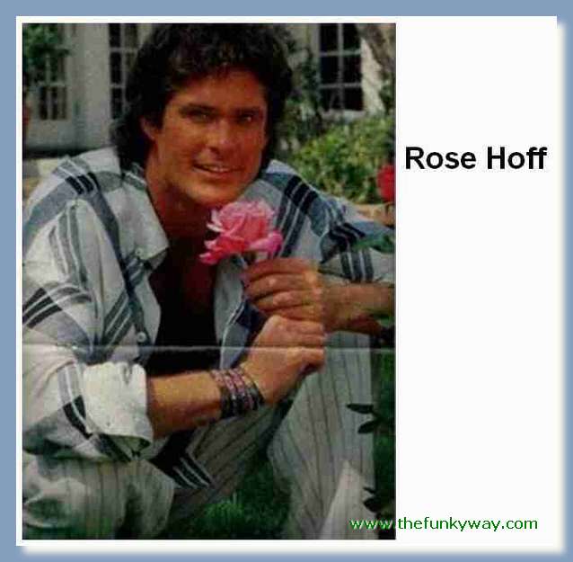Hoff - David hasslehoff