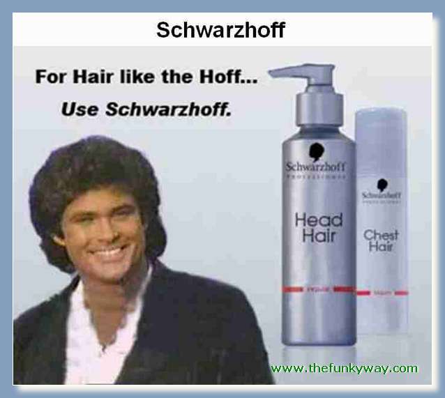 Hoff - David hasslehoff
