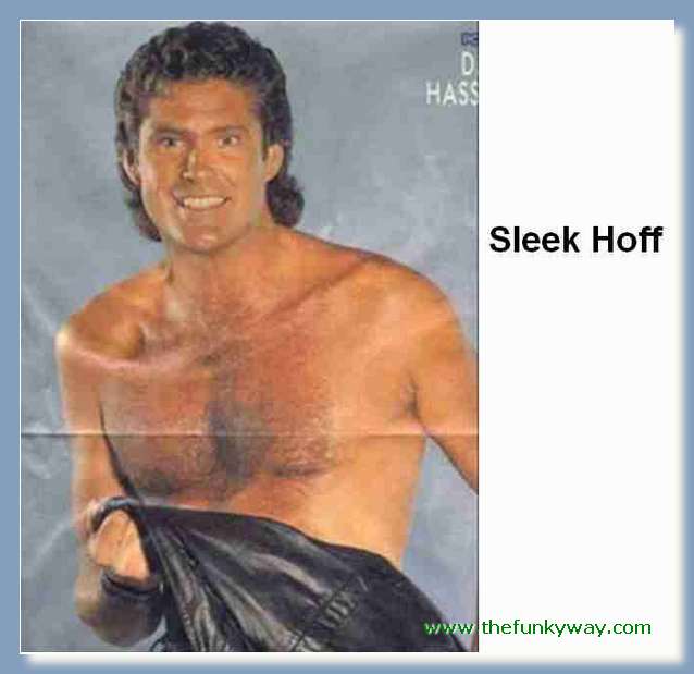Hoff - David hasslehoff