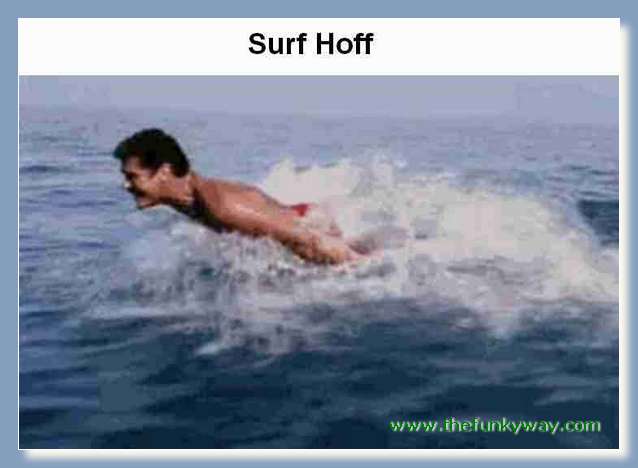 Hoff - David hasslehoff