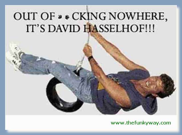 Hoff - David hasslehoff