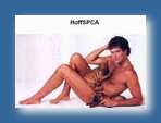 Hoff - David hasslehoff