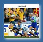 Hoff - David hasslehoff