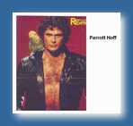 Hoff - David hasslehoff