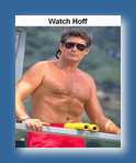 Hoff - David hasslehoff
