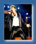 Hoff - David hasslehoff