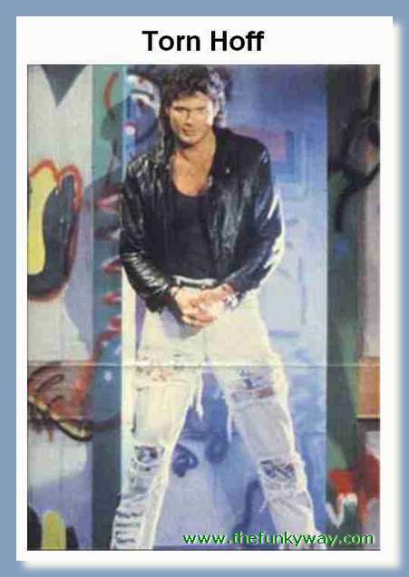 Hoff - David hasslehoff