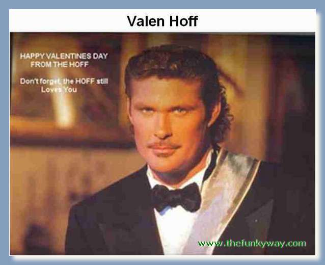 Hoff - David hasslehoff