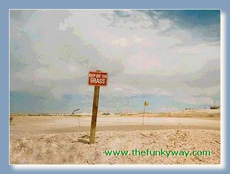 (c) The Funky Way