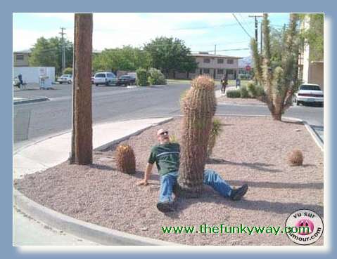 (c) The Funky Way